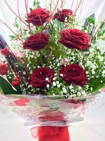 Half Dozen Red Roses