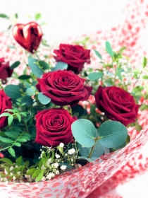 Special Someone Half Dozen Red Rose Bouquet